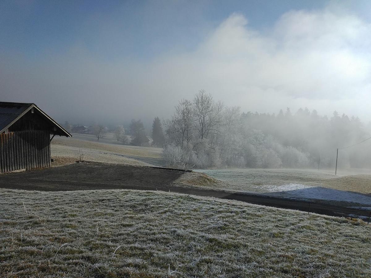 Villa Tolles Einfamilienhaus nahe dem Bodensee Lauterach Exterior foto